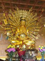 große Wildganspagode (5)