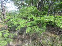 Nationalpark Los Glaciares