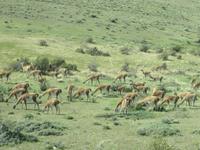 Nationalpark Torres del Paine