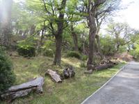 Nationalpark Torres del Paine