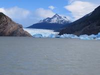 Gletscher Grey