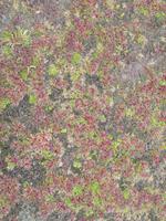 Ausflug Ainsworth Bucht