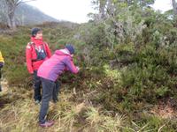 Ausflug Ainsworth Bucht