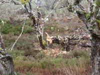 Ausflug Ainsworth Bucht