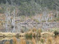 Ausflug Ainsworth Bucht