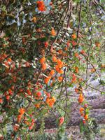 Ausflug Ainsworth Bucht