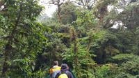 Costa Rica, Wanderung im Selvatura Park