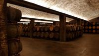 Im Keller von Freixenet