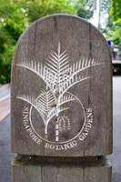 Singapur Botanischer Garten