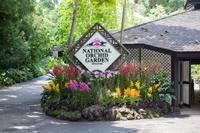 Singapur Botanischer Garten