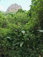 80 Amboro Nationalpark