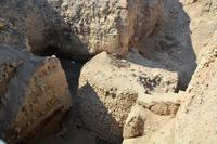 Studien zur Sesshaftwerdung der Menschen - Neolithikum