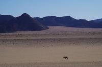 Namibia - Unterwegs