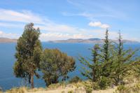 Mondinsel - Titicacasee