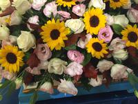 Blumenmeer