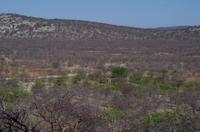 Namibia - Epacha Game Reserve