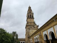 0336 La Mezquita Cordoba