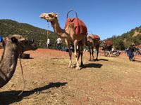 0124 im Atlasgebirge