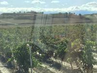 auf dem Wege nach Haro 