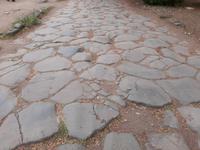 In Ostia Antica.