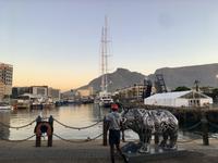 Kapstadt: An der Waterfront