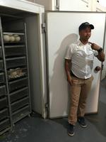 Oudtshoorn: Highgate Straußenfarm