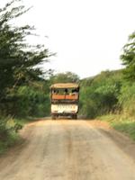 Hluhluwe Nationalpark: Auf Safari