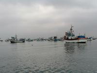 Bootstour Ballestas Inseln