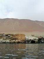 Bootstour Ballestas Inseln