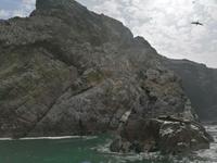 Bootstour Ballestas Inseln