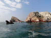 Bootstour Ballestas Inseln