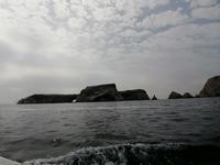 Bootstour Ballestas Inseln