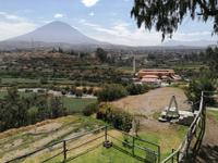 Arequipa