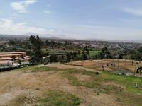 Arequipa