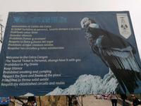 Mirador Cruz del Condor