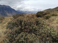 Mirador Cruz del Condor