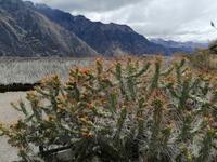 Mirador Cruz del Condor