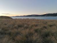 Insel Suasi