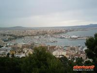 Hafen Palma