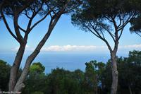 Isola di Capri - Villa San Michele - Axel Munthe