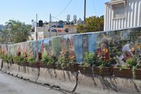 Blumen an der Davidstadt