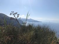 Lipari