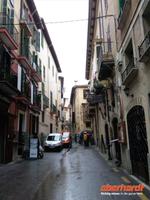 Palma