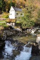 Hurtigruten - Finnmarken-53