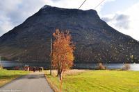 Hurtigruten - Finnmarken-56