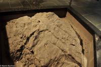 Hurtigruten - Finnmarken-173