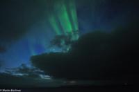 Hurtigruten - Finnmarken-195