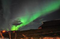 Hurtigruten - Finnmarken-302