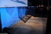 Hurtigruten - Finnmarken-325