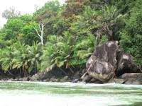 Round Island. Palmen und Granit